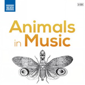 Tale of Tsar Saltan, Op. 57 - Flight of the Bumblebee