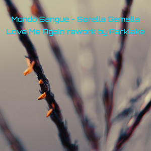 Sorella Gemella (Love Me Again Rework by Parklake)