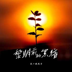 黎明前的黑暗 (敲响命运的钟)