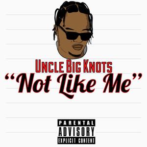 Not Like Me (Explicit)