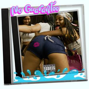 No Guarantee (Explicit)