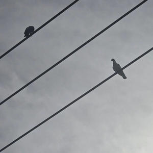 Nadie tiene una vida Perfecta