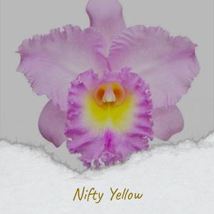 Nifty Yellow