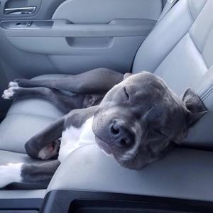 who would die for me? (Explicit)