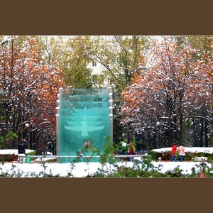 你的世界里没有我