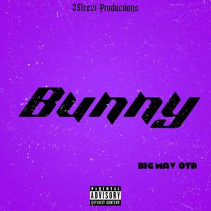 Bunny (Explicit)