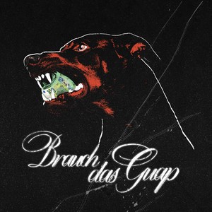 Brauch das Guap (Explicit)