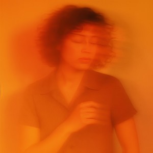 Never Gonna Give U Up