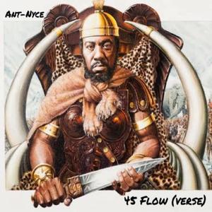 45 Flow (verse)