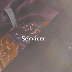 Servicer
