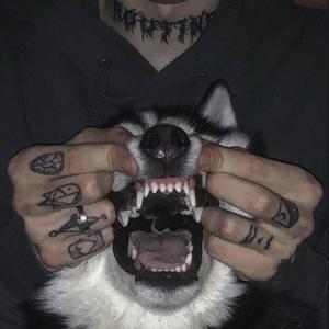 LKMIW 6666