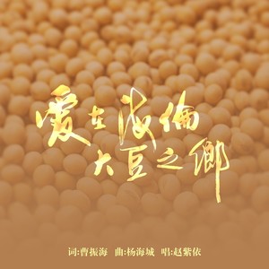 爱在海伦大豆之乡 (DJ小建版)