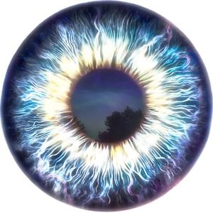 dilated pupils (Explicit)