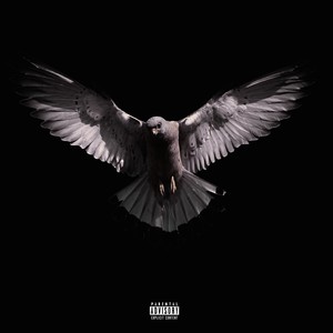Forever Fly (Explicit)