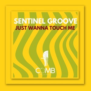 Just Wanna Touch Me (Radio Edit)