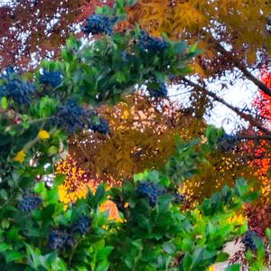 is it over? (Explicit)