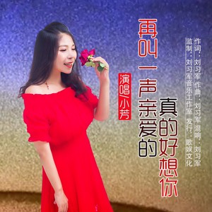 再叫一声亲爱的真的好想你封面