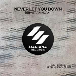 Never Let You Down (Ricardo Lovetower Remix)