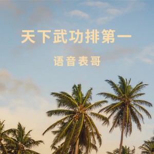 天下武功排第一