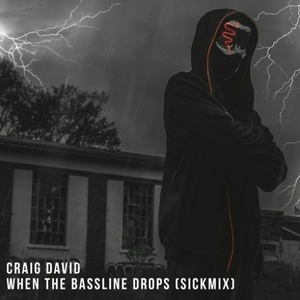 When The Bassline Drops (Sickmix)