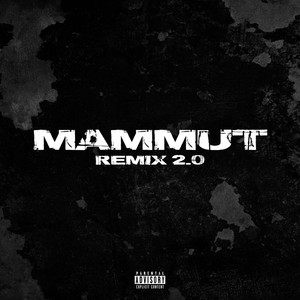 Mammut RMX 2.0 (Explicit)