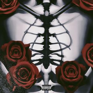 s k e l e t o n s (Explicit)