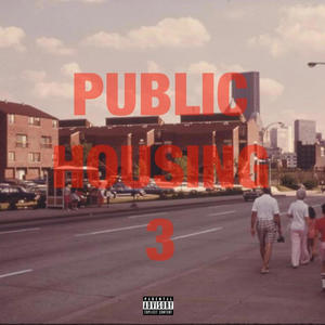 Public Housing 3 (Explicit)