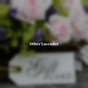 Other Lavender