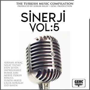 Sinerji Vol:5