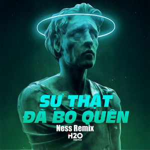 Sự Thật Đã Bỏ Quên (Remix)