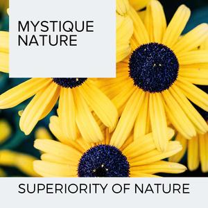 Mystique Nature - Superiority of Nature