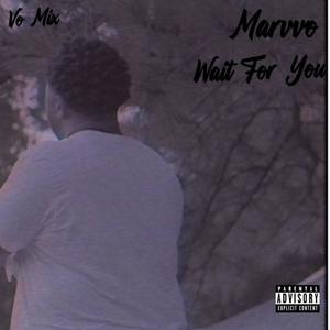 Wait For You (Vo Mix|Explicit)