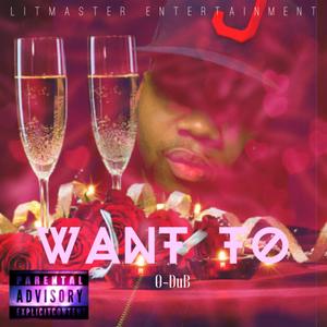 Want To (Explicit)
