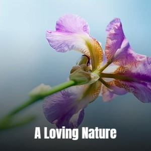 To Those I Love