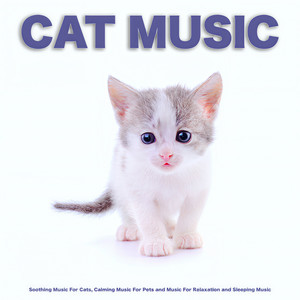 Cat Music: Soothing Music For Cats, Calming Music For Pets and Music For Relaxation and Sleeping Music