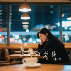 真的好想你 (深情版)封面