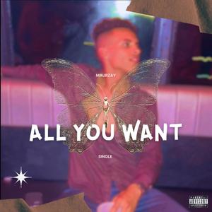 All You Want (Explicit)