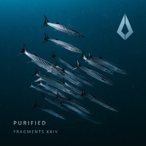 Purified Fragments XXIV