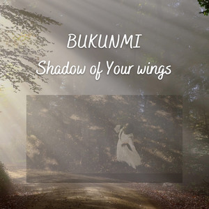 Shadow of Your Wings