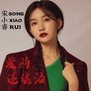 爱的迷魂汤封面
