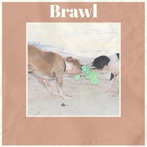 Brawl