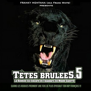 Pitbull(Il y a plus d'espoir)