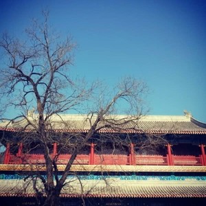 本来面目 (合唱) - 华语群星封面