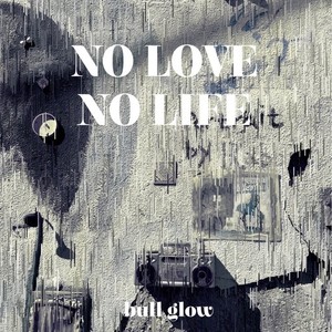 NO LOVE NO LIFE