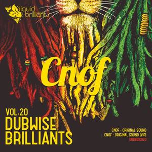 Dubwise Brilliants, Vol. 20