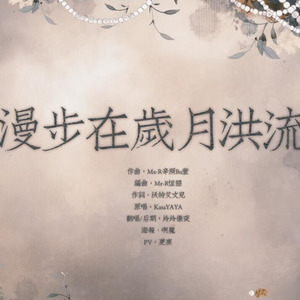 漫步在岁月洪流