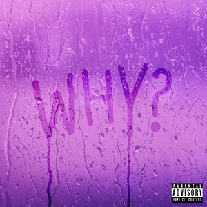 Why (Explicit)