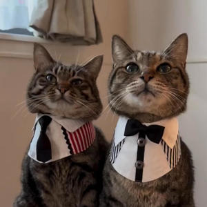 figure this out (feat. deshy) (Explicit)