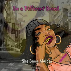 Im a Different Breed (feat. She Bang Malosa) [Explicit]