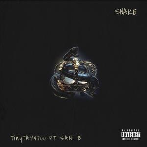 Snake (feat. Sani B) [Explicit]